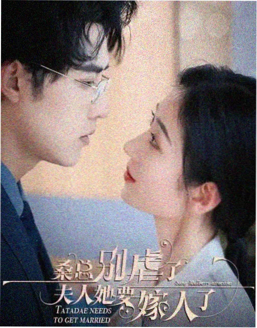锦心似玉 电视剧大全